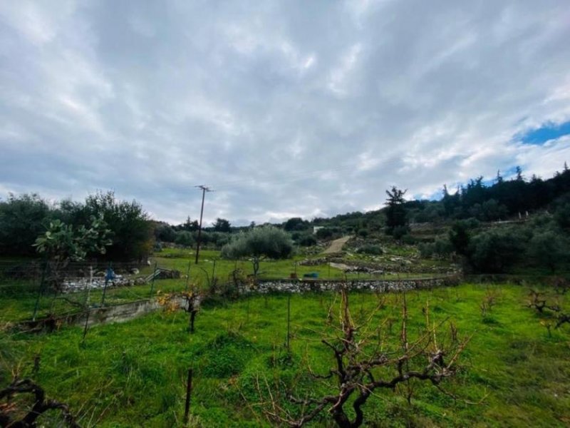 Filippos Schönes Grundstück zum Verkauf im Dorf Filippos, Kreta Grundstück kaufen